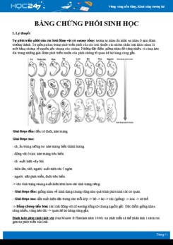 Kiến thức trọng tâm Bằng chứng phôi sinh học Sinh học 12