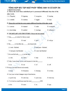 Tổng hợp bài tập ngữ pháp Tiếng Anh 10 có đáp án