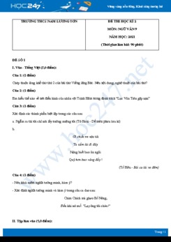 Bộ 5 đề thi HK2 môn Ngữ văn 9 năm 2021 Trường THCS Nam Lương Sơn