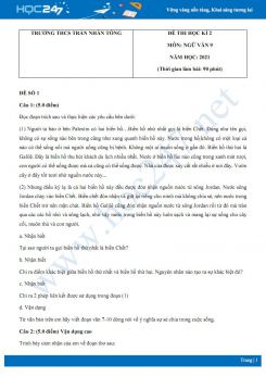 Bộ 5 đề thi HK2 môn Ngữ văn 9 năm 2021 Trường THCS Trần Nhân Tông