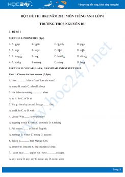 Bộ 5 đề thi HK2 môn Tiếng Anh 6 năm 2021 Trường THCS Nguyễn Du