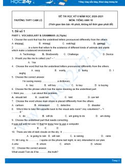 Bộ 5 đề thi HK2 môn Tiếng Anh 10 có đáp án năm 2021 Trường THPT Cam Lộ