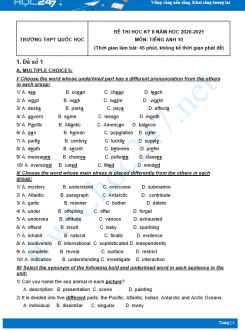 Bộ 5 đề thi HK2 môn Tiếng Anh 10 có đáp án năm 2021 Trường THPT Quốc Học