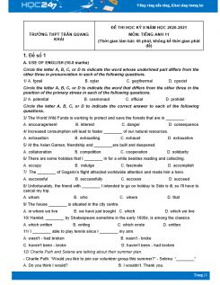 Bộ 5 đề thi HK2 môn Tiếng Anh 11 có đáp án năm 2021 Trường THPT Trần Quang Khải