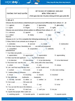 Bộ 5 đề thi HK2 môn Tiếng Anh 11 có đáp án năm 2021 Trường THPT Ngô Quyền