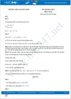 Bộ 5 đề thi HK2 môn Toán lớp 9 có đáp án Trường THCS Nguyễn Trãi