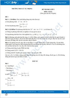 Bộ 5 đề thi HK2 môn Toán lớp 9 có đáp án Trường THCS Lý Tự Trọng