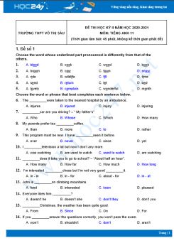 Bộ 5 đề thi HK2 môn Tiếng Anh 10 có đáp án năm 2021 Trường THPT Võ Thị Sáu