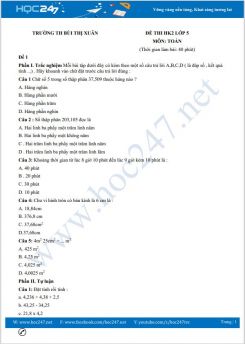 Bộ 5 đề thi HK2 môn Toán lớp 5 có đáp án Trường TH Bùi Thị Xuân