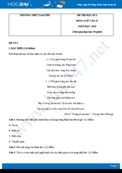 Bộ 5 đề thi HK2 môn Ngữ văn 11 năm 2021 Trường THPT Tam Phú