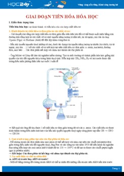 Kiến thức trọng tâm Giai đoạn tiến hóa hóa học Sinh học 12