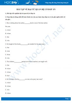 Bài tập về đại từ quan hệ có đáp án