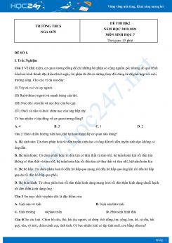 Bộ 5 Đề thi HK2 môn Sinh Học 7 năm 2021 Trường THCS Nga Sơn có đáp án