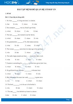 Bài tập mệnh đề quan hệ có đáp án