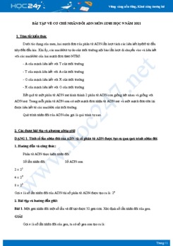Hướng dẫn giải bài tập về Cơ Chế Nhân Đôi ADN môn Sinh học 9 năm 2021