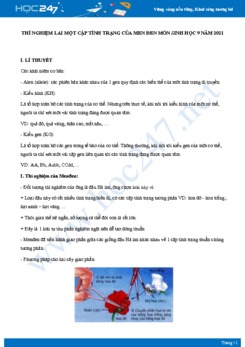 Thí nghiệm Lai Một Cặp Tính Trạng của Men Đen môn Sinh học 9 năm 2021