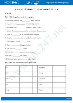 Bài tập về tính từ Tiếng Anh có đáp án
