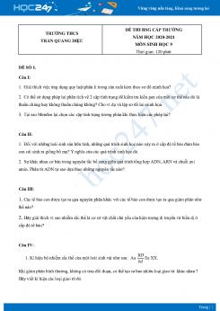 Bộ 5 Đề thi HSG môn Sinh Học 9 năm 2021 Trường THCS Trần Quang Diệu