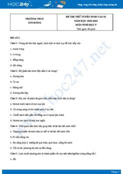 Bộ 5 đề thi vào lớp 10 chuyên Sinh năm 2021 trường THCS Sơn Đồng có đáp án