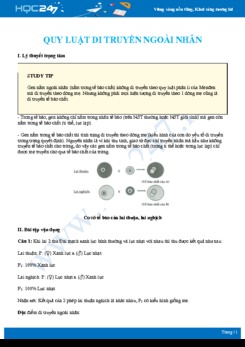 Lý thuyết trọng tâm củng cố Quy luật di truyền ngoài nhân Sinh học 12