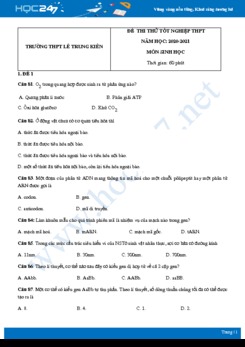 Bộ 5 đề thi thử tốt nghiệp THPT năm 2021 môn Sinh học - Trường THPT Lê Trung Kiên có đáp án