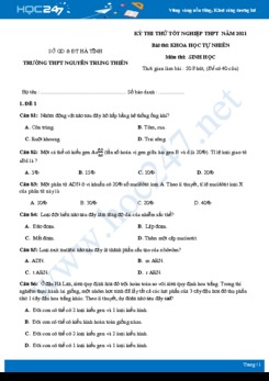 Bộ 5 đề thi thử tốt nghiệp THPT năm 2021 môn Sinh học - Trường THPT Nguyễn Trung Thiên