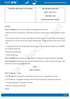 Bộ 5 đề thi học sinh giỏi môn Ngữ văn 7 năm 2021 Trường THCS Phan Lưu Thanh