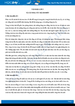 Tả cây hoa cúc mà em biết - Văn mẫu lớp 5