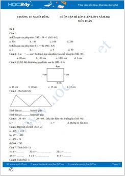 Bộ 4 đề ôn tập hè lớp 2 lên lớp 3 môn Toán có đáp án năm 2021 Trường TH Nghĩa Dũng