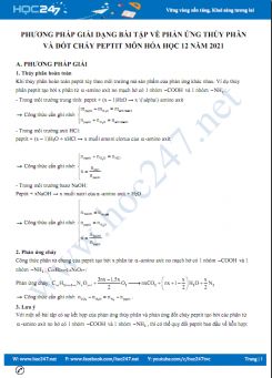Phương pháp giải dạng bài tập về phản ứng thủy phân và đốt cháy peptit môn Hóa học 12 năm 2021