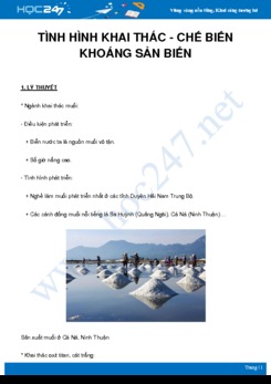 Chuyên đề Tình hình khai thác - chế biến khoáng sản biển Việt Nam môn Vật Lý 9 năm 2021