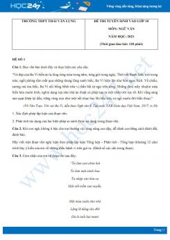Bộ 3 đề thi tuyển sinh vào lớp 10 năm 2021 môn Ngữ Văn - Trường THCS Thái Văn Lung