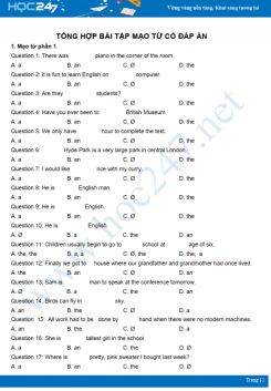 Tổng hợp bài tập Mạo từ có đáp án