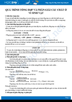 Tổng ôn Quá trình tổng hợp và phân giải các chất dinh dưỡng ở vi sinh vật Sinh học 10