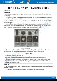 Lý thuyết trọng tâm củng cố Hình thái và cấu tạo của virut Sinh học 10
