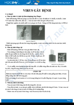 Kiến thức trọng tâm Các loại virut gây bệnh Sinh học 10