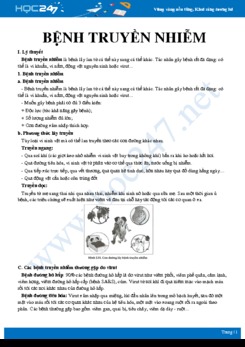 Kiến thức trọng tâm về Bệnh truyền nhiễm Sinh học 10