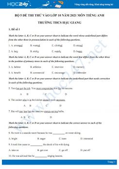 Bộ 5 đề thi thử vào lớp 10 năm 2021 môn Tiếng Anh Trường THCS Hậu Giang