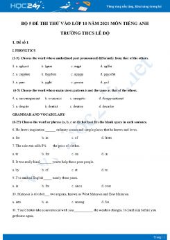 Bộ 5 đề thi thử vào lớp 10 năm 2021 môn Tiếng Anh Trường THCS Lê Độ
