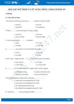 Bài tập ngữ pháp và từ vựng Tiếng Anh 5 có đáp án