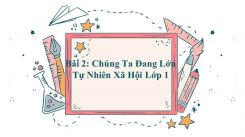 Tự nhiên và Xã hội lớp 1 Bài 2: Chúng Ta Đang Lớn