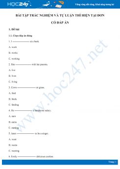 Bài tập trắc nghiệm và tự luận ôn tập thì hiện tại đơn