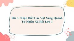 Tự nhiên và Xã hội lớp 1 Bài 3: Nhận Biết Các Vật Xung Quanh
