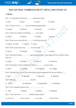 Bài tập trắc nghiệm danh từ Tiếng Anh có đáp án