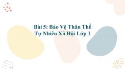 Tự nhiên và Xã hội lớp 1 Bài 5: Vệ Sinh Thân Thể