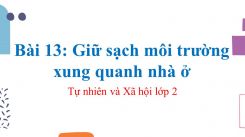 Tự nhiên và Xã hội lớp 1 Bài 23: Cây Hoa