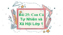 Tự nhiên và Xã hội lớp 1 Bài 25: Con Cá
