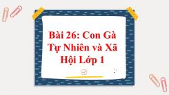 Tự nhiên và Xã hội lớp 1 Bài 26: Con Gà