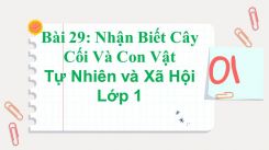 Tự nhiên và Xã hội lớp 1 Bài 29: Nhận Biết Cây Cối Và Con Vật