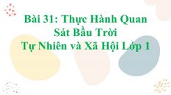 Tự nhiên và Xã hội lớp 1 Bài 31: Thực Hành Quan Sát Bầu Trời